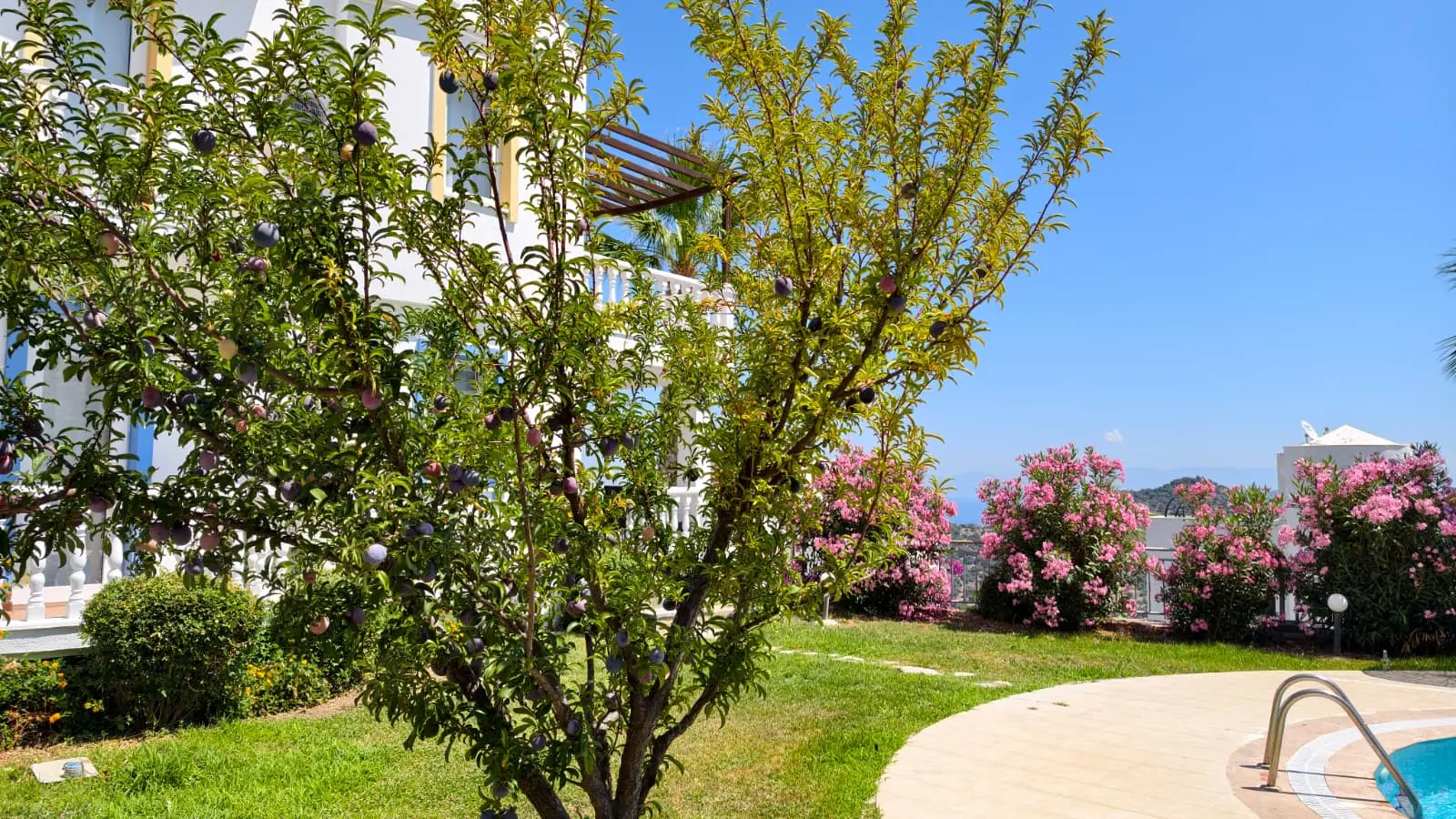 Home in Yalikavak